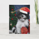 Search for dog lovers christmas cards Dogs