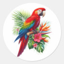 Search for parrot stickers Animal