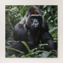 Search for gorilla puzzles Ape