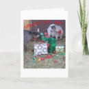 Search for naughty or nice cards Red and green