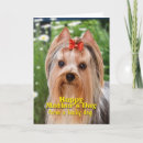 Search for yorkshire terrier mothers day cards Yorkie