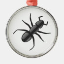 Search for ant ornaments Animal