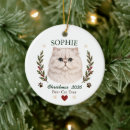 Search for persian cat ornaments Cute