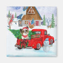 Search for christmas truck magnets Dog