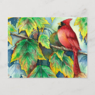 0004 CardinalPostcard Postcard