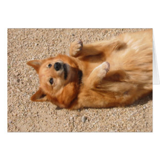 0006Copper belly rub Cards