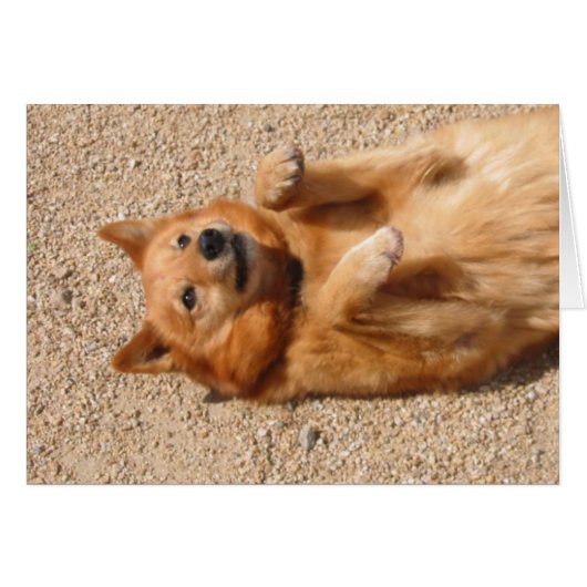 0006Copper belly rub Cards (Front Horizontal)