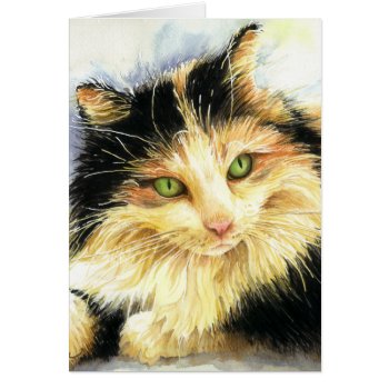 0010 Calico Cat by RuthGarrison at Zazzle