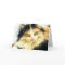 0010 Calico Cat Birthday Card