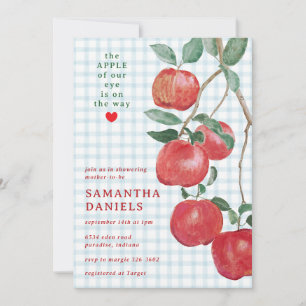001 Sky Blue Apple of Our Eye Gingham Baby Shower Invitation