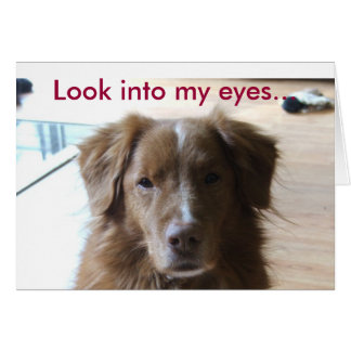 0029, Look into my eyes... Cards