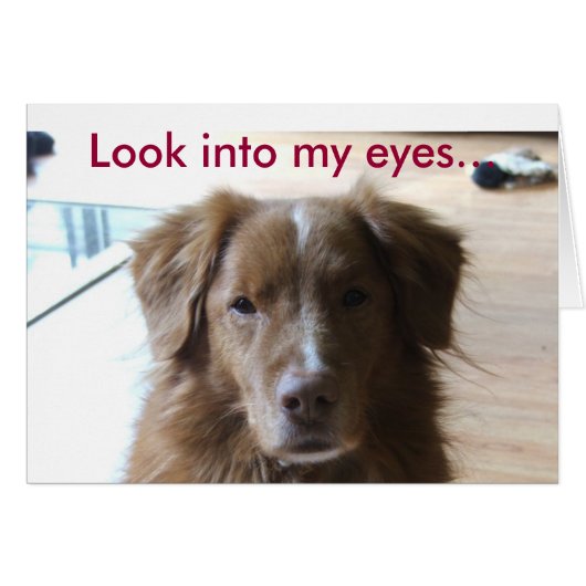 0029, Look into my eyes... Cards (Front Horizontal)