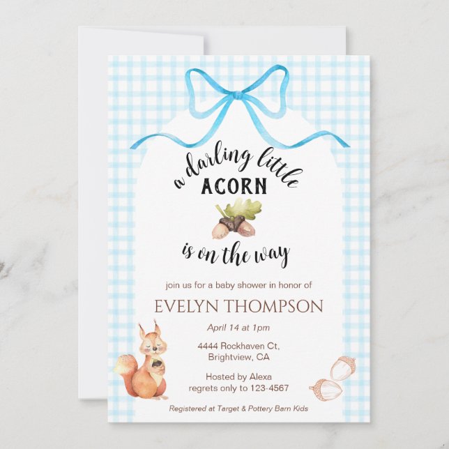 002 Cerulean Squirrel Acorn Gingham Baby Shower Invitation (Front)