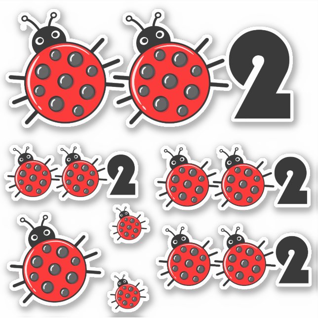 🐞002, Cute pickleball ladybird set of  Sticker (Front)