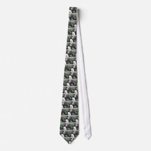 006060 Princess Diana Lochmaddy 1985 Neck Tie
