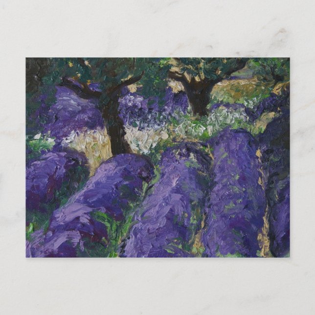 0063-le champ de lavande postcard (Front)