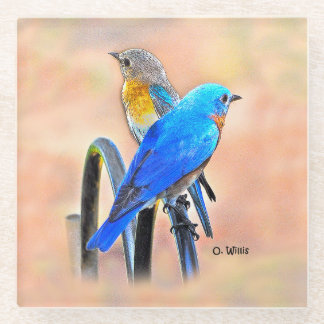 010 Bluebird Love 4x4 Glass Coaster