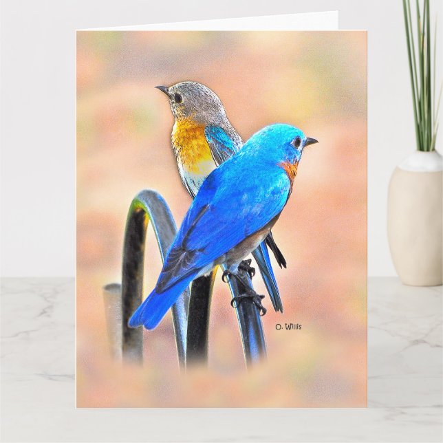010 Bluebird Love Big Card 8.5x11 Matte (Front)
