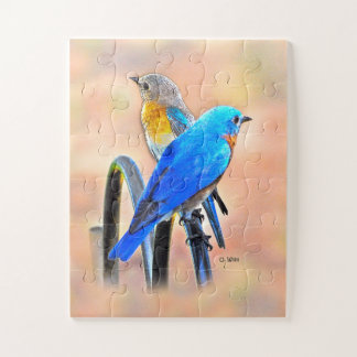 010 Bluebird Love Puzzle 11x14 Kids