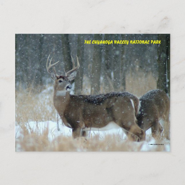 011110-40-APC POSTCARD (Front)