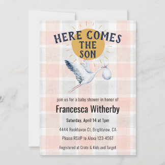 011 Terracotta 020 Fog Sun Plaid Stork Baby Shower Invitation