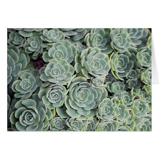 01760023 (Front Horizontal)