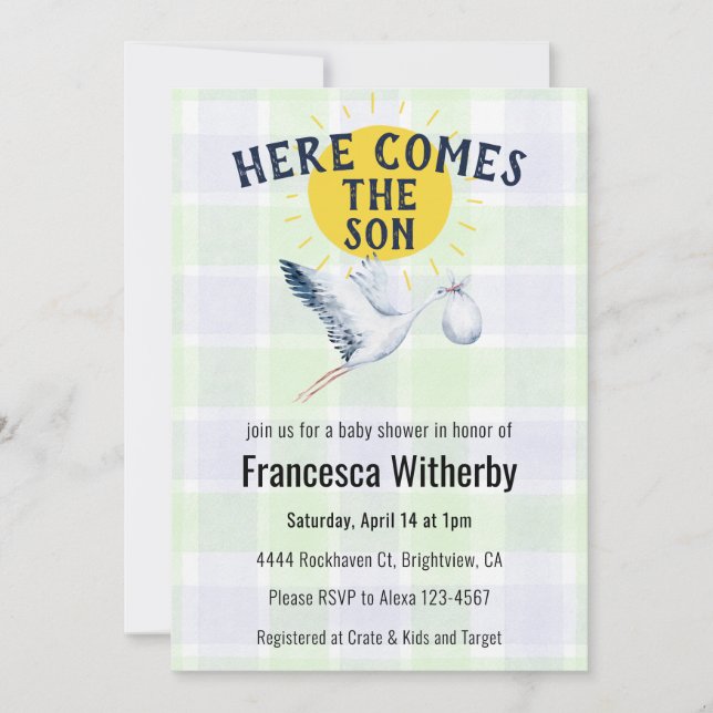 017 Moss 005 Iris Plaid Stork Boho Baby Shower Invitation (Front)