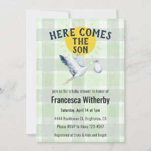 019 Forest Gingham Plaid Stork Boho Baby Shower Invitation