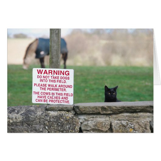 020409DogsFarm260 (Front Horizontal)