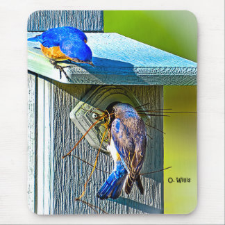 020 Bluebird Nesting 7.75x9.25 Mouse Pad
