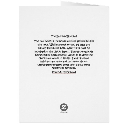 020 Bluebird Nesting Big Card 8.5x11 Matte (Back)