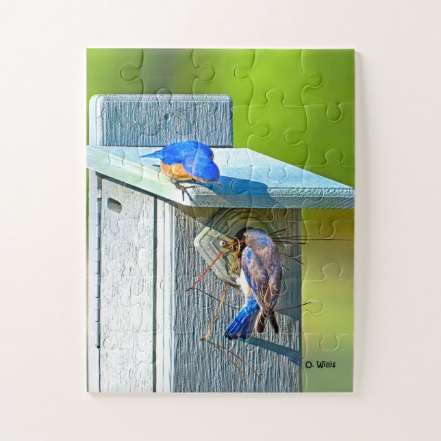 020 Bluebird Nesting Puzzle 11x14 Kids (Vertical)