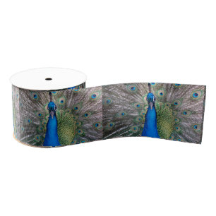 020 Peacock Ribbon