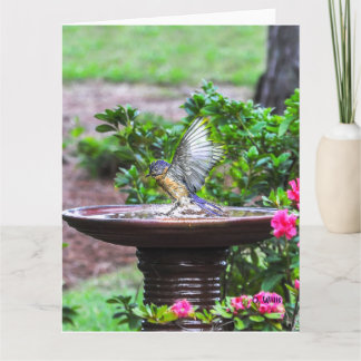 030 Bluebird Bath Big Card 8.5x11 Matte