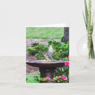 030 Bluebird Bath Note Card 4.25x5.5 Matte