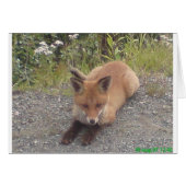 033.JPG (Front Horizontal)