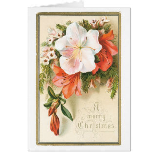Vintage Christmas Flowers Greeting Cards Zazzle 038 Vintage Christmas Card White Red Pink Flowers