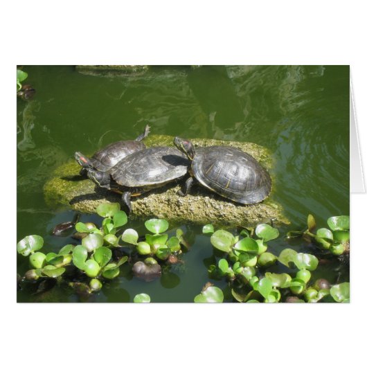 03-21-10 246 (Front Horizontal)