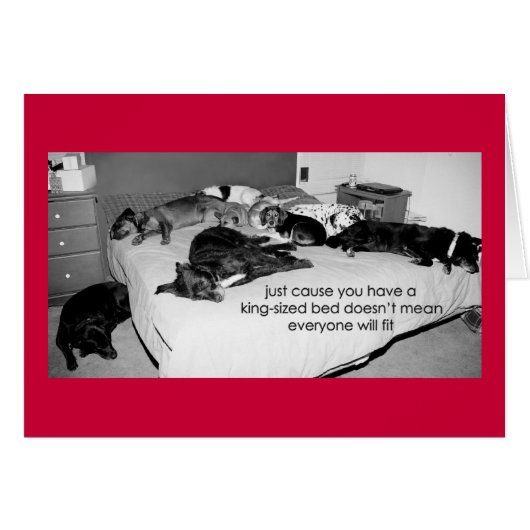 03 just cause (Front Horizontal)