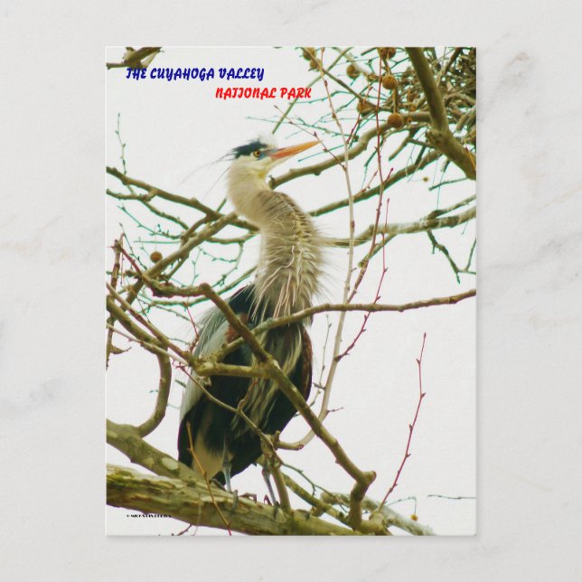 040111-145-APS POSTCARD (Front)