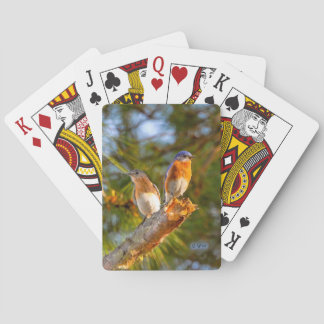 040 Bluebird Courtship Playing Cards
