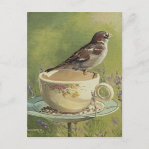 0470 Sparrow Postcard