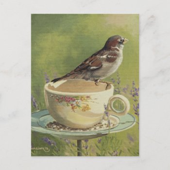 0470 Sparrow Postcard by RuthGarrison at Zazzle