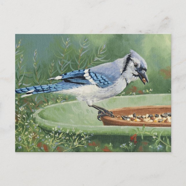 0481 Blue Jay at Feeder Postcard (Front)