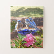 050 Bluebirds Forever Puzzle 11x14 Kids