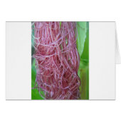 056.JPG (Front Horizontal)