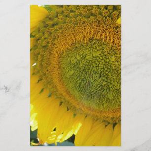 057.JPG STATIONERY