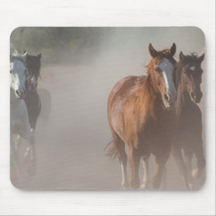 0800-Wild Mustangs Running Mouse Pad