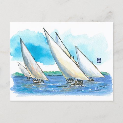 081 Dhow Sailboat Races Postcard