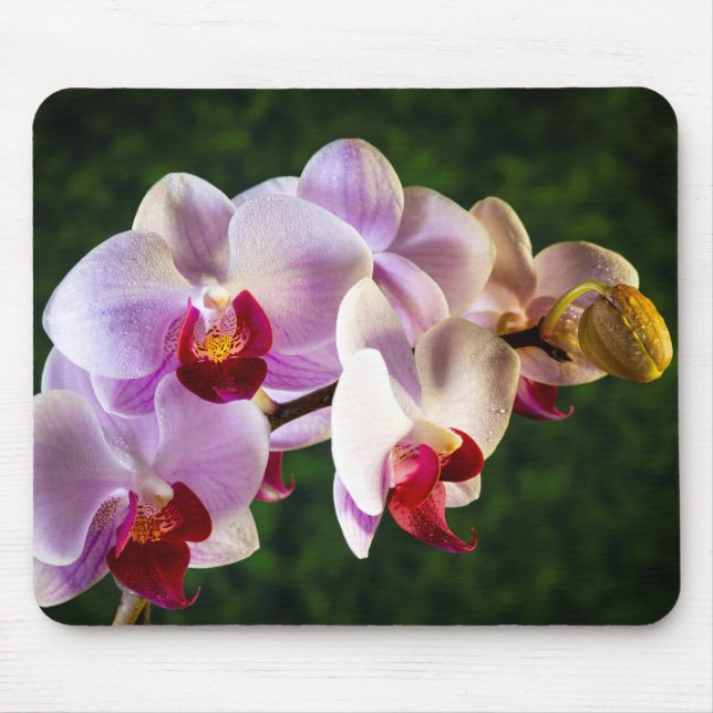 0834-Pink Orchids Mouse Pad (Front)